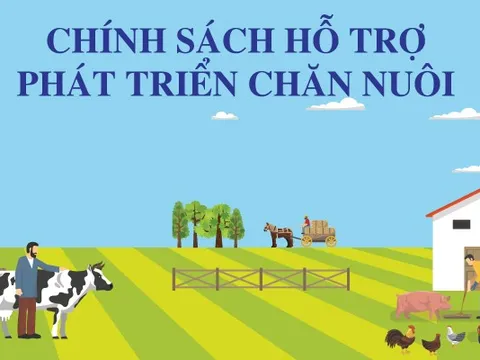 Infographics: Chính sách hỗ trợ phát triển chăn nuôi