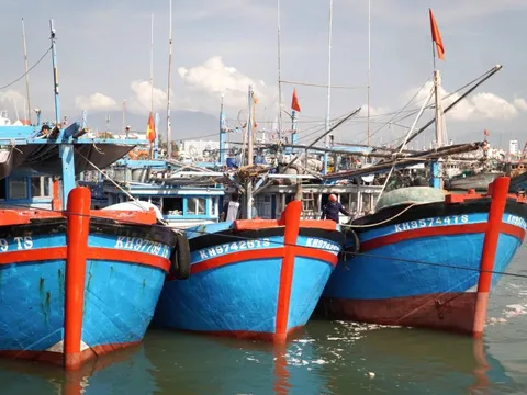 Khánh Hòa vẫn còn tàu cá '3 không'