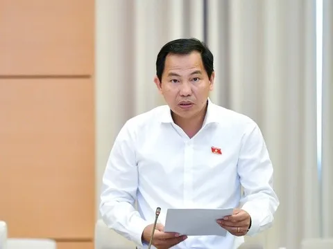Hai luồng quan điểm về áp thuế VAT 5% với phân bón