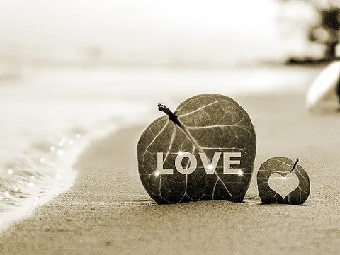 Về lại nơi tình yêu bắt đầu