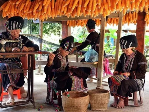 Khôi phục, bảo tồn và phát triển bản sắc văn hóa truyền thống của dân tộc thiểu số rất ít người