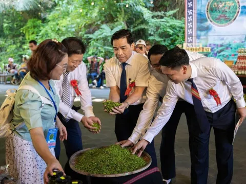 Giới thiệu, quảng bá sản phẩm OCOP đặc trưng của đồng bào Cơ Tu