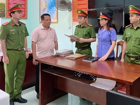 Tạm giam một giám đốc doanh nghiệp về hành vi trốn thuế