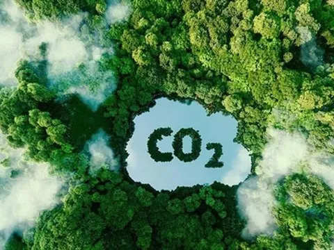 Sẵn sàng cho thị trường tín chỉ carbon