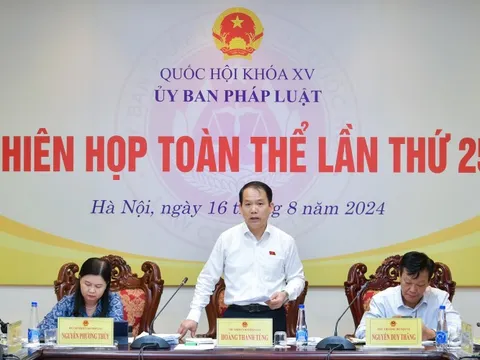 Thẩm tra tờ trình về sắp xếp đơn vị hành chính cấp huyện, xã giai đoạn 2023-2025