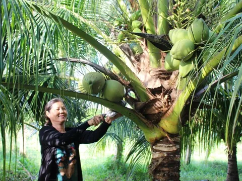 Thương mại nông sản Việt Nam – Trung Quốc nhiều cơ hội mở rộng