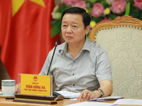 Xây dựng đường găng tiến độ Dự án thành phần 4 sân bay Long Thành