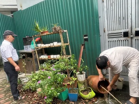 Quận Hai Bà Trưng chủ động, tích cực phòng, chống sốt xuất huyết