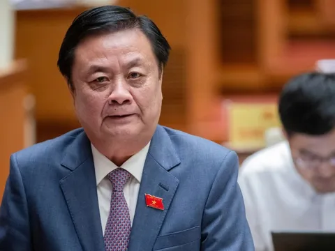Tiếp tục các giải pháp để chứng minh nỗ lực của Việt Nam trong việc tháo gỡ thẻ vàng IUU