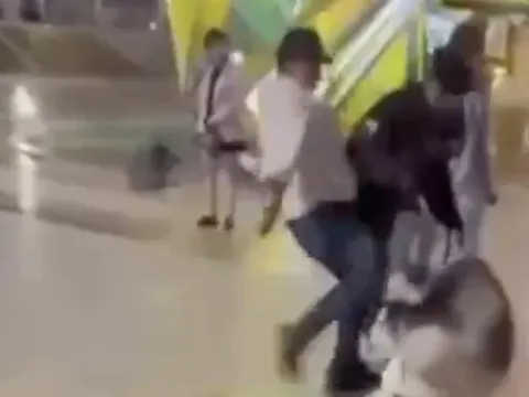 Công an sẽ vào cuộc vụ ngược đãi động vật ở Quảng trường Lâm Viên Đà Lạt