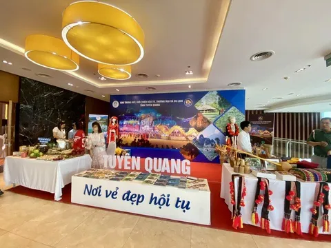 Lễ hội Thành Tuyên năm 2024 sẽ được tổ chức với quy mô lớn cấp quốc gia