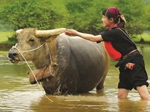 Sáng tạo trang phục trên phim nhưng cần tôn trọng sự thật