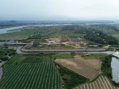 Phát hiện loạt sai phạm đất đai tại Đảo Ngọc, tỉnh Quảng Ngãi xử lý ra sao?