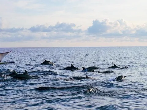 Indonesia hút du khách Việt dịp lễ 2/9