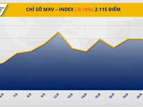 Giá cà phê lập kỷ lục lịch sử mới
