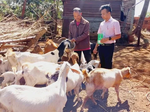 Chư Pưh thoát nghèo, làm giàu từ nguồn vốn nhân văn