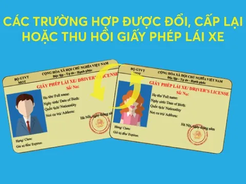 Infographics: Các trường hợp được đổi, cấp lại hoặc thu hồi giấy phép lái xe từ 1/1/2025