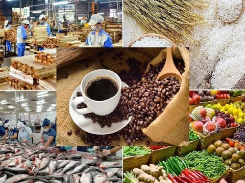 Xuất khẩu nông sản trước những quy định mới của EU