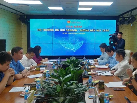 Thị trường tín chỉ carbon - đường đến Net Zero