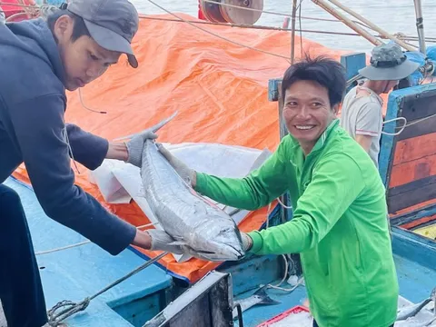 Chống khai thác IUU: Hỗ trợ ngư dân hoàn thiện hồ sơ tàu cá