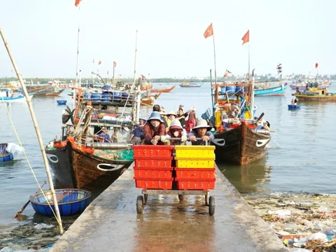 Quảng Nam giám sát chặt chẽ tàu cá '3 không'