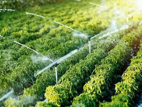 Xây dựng ngành lâm nghiệp trở thành một ngành kinh tế, kỹ thuật