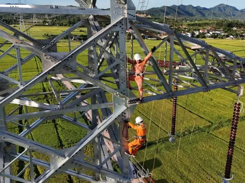 Những cái nhất làm nên 'kỳ tích' của dự án đường dây 500kV mạch 3 Quảng Trạch – Phố Nối