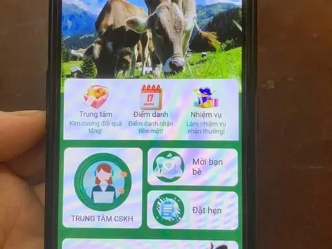 "Nuôi bò" online, người phụ nữ suýt mất 300 triệu đồng