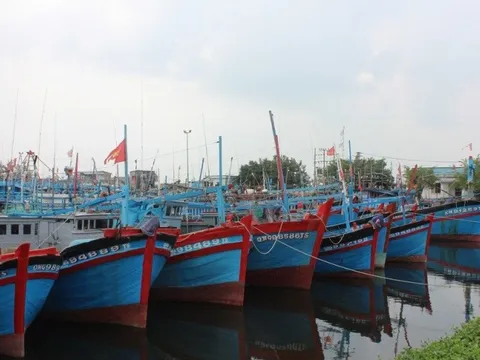 Quảng Ngãi tập trung cao điểm đăng ký, cấp phép tàu '3 không'