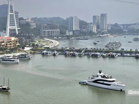 Du lịch Quảng Ninh đón gần 15 triệu lượt khách trong 8 tháng