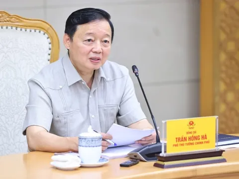 Quy hoạch chi tiết nhóm cảng biển để trở thành 'đất lành' cho các hãng tàu lớn
