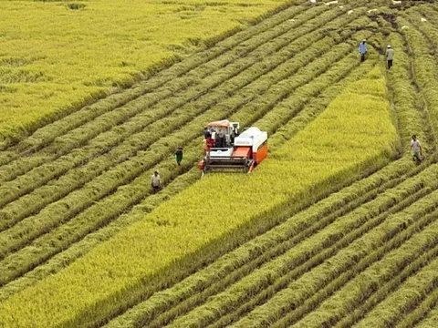 Luật Đất đai 2024: Cơ hội thu hút đầu tư vào nông nghiệp xanh