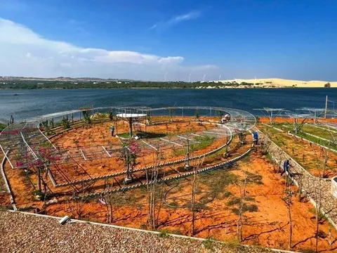 Bình Thuận: Xem xét kiểm điểm tổ chức, cá nhân có liên quan vụ xâm phạm thắng cảnh Bàu Trắng