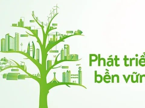 Quy chế tổ chức, hoạt động của Hội đồng quốc gia về phát triển bền vững