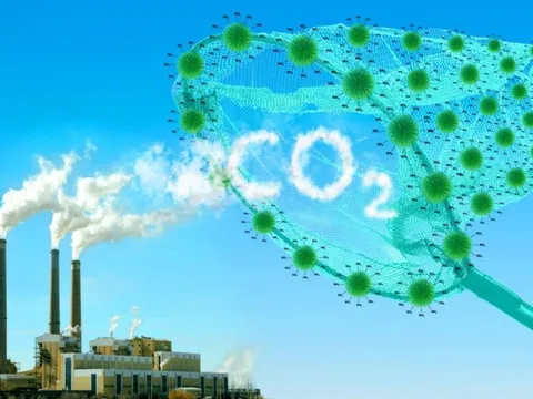 Bộ NN&PTNT thông tin về gần 6 triệu tấn CO2 tại Bắc Trung Bộ