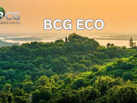 Bamboo Capital thành lập công ty trồng và chăm sóc rừng BCG Eco