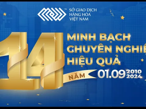 Thị trường giao dịch hàng hóa tại Việt Nam: 14 năm chuyển mình mạnh mẽ