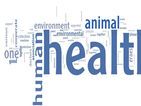 Chung tay ngăn chặn kháng kháng sinh