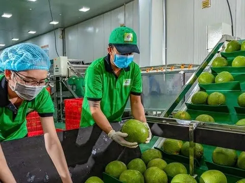 Nhiều giải pháp trợ lực cho DN xuất khẩu những tháng cuối năm