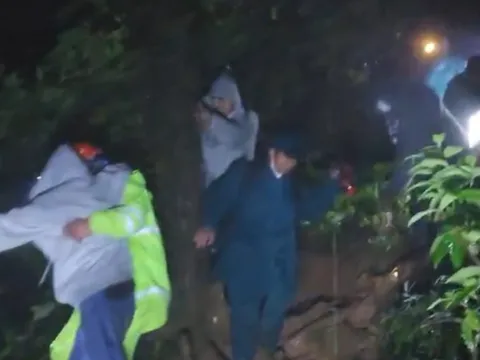 Lâm Đồng: Giải cứu 5 sinh viên đi lạc trên núi Lang Biang