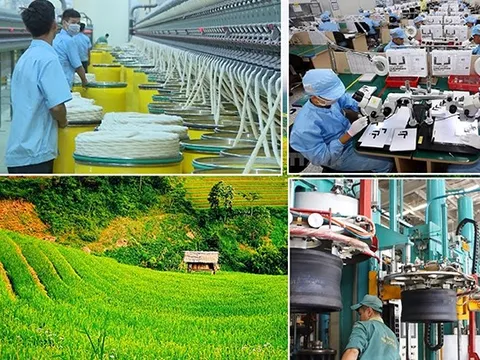 Chỉ đạo, điều hành của Chính phủ, Thủ tướng Chính phủ nổi bật tuần từ 24-30/8/2024