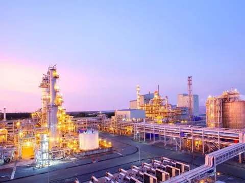 Phân bón Cà Mau công bố báo cáo phát triển bền vững năm 2023