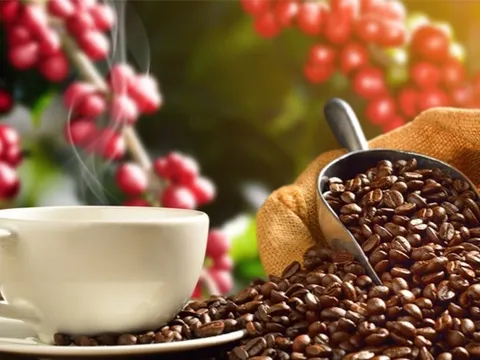 Cà phê đi ngược chiều với xu hướng giảm của thị trường hàng hóa nguyên liệu