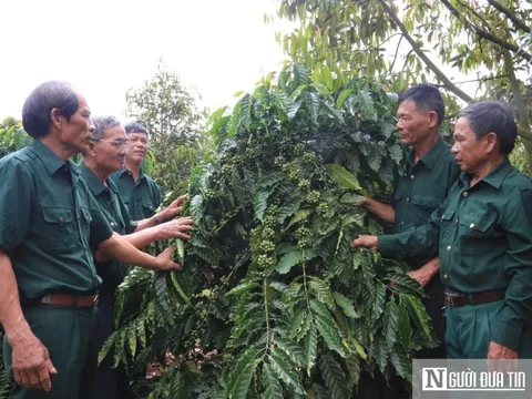 Chuyện lập nghiệp của những cựu binh “tàn nhưng không phế”