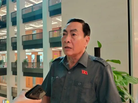 ĐBQH: Cần xử lý nghiêm bảo mẫu bạo hành trẻ tại Mái ấm Hoa Hồng