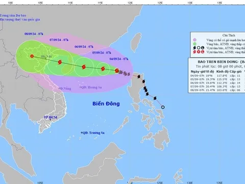 15 cục dự trữ nhà nước khu vực chủ động ứng phó với bão Yagi