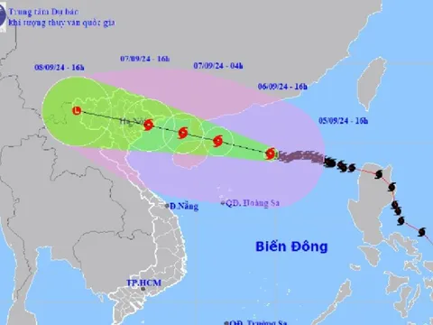 Quảng Ninh: Di dời người dân khỏi các khu nuôi trồng thủy sản trước 16h ngày 6/9