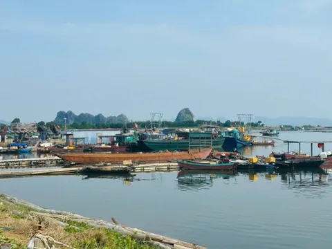 Quảng Ninh: Kêu gọi gần 5.600 tàu thuyền vào nơi tránh trú bão số 3