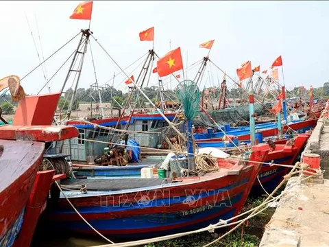 Các địa phương tập trung cao cho công tác ứng phó với bão số 3