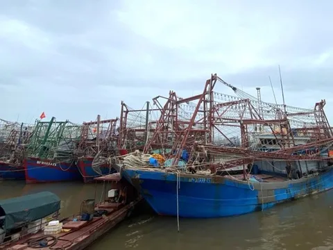 Ngành Thủy sản ra công điện ứng phó bão Yagi